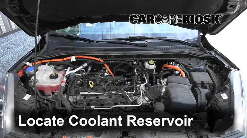 Battery Replacement: 2021 Ford Escape SE Hybrid 2.5L 4 Cyl.